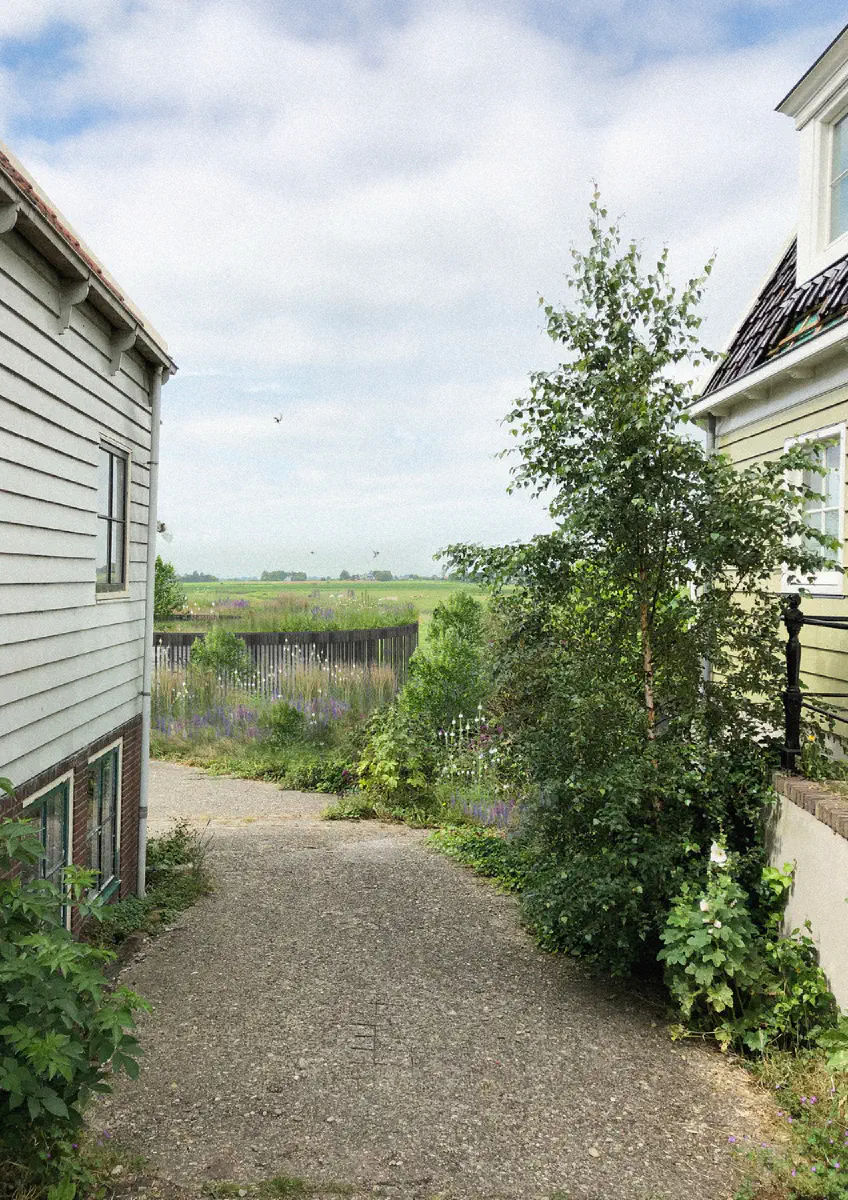 007 - DDD2 NL, 2019 study  2