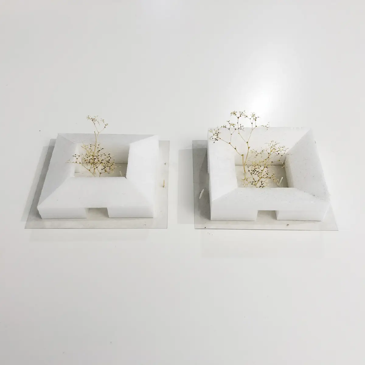 008 - Hiriketiya LKA, 2019 study  0