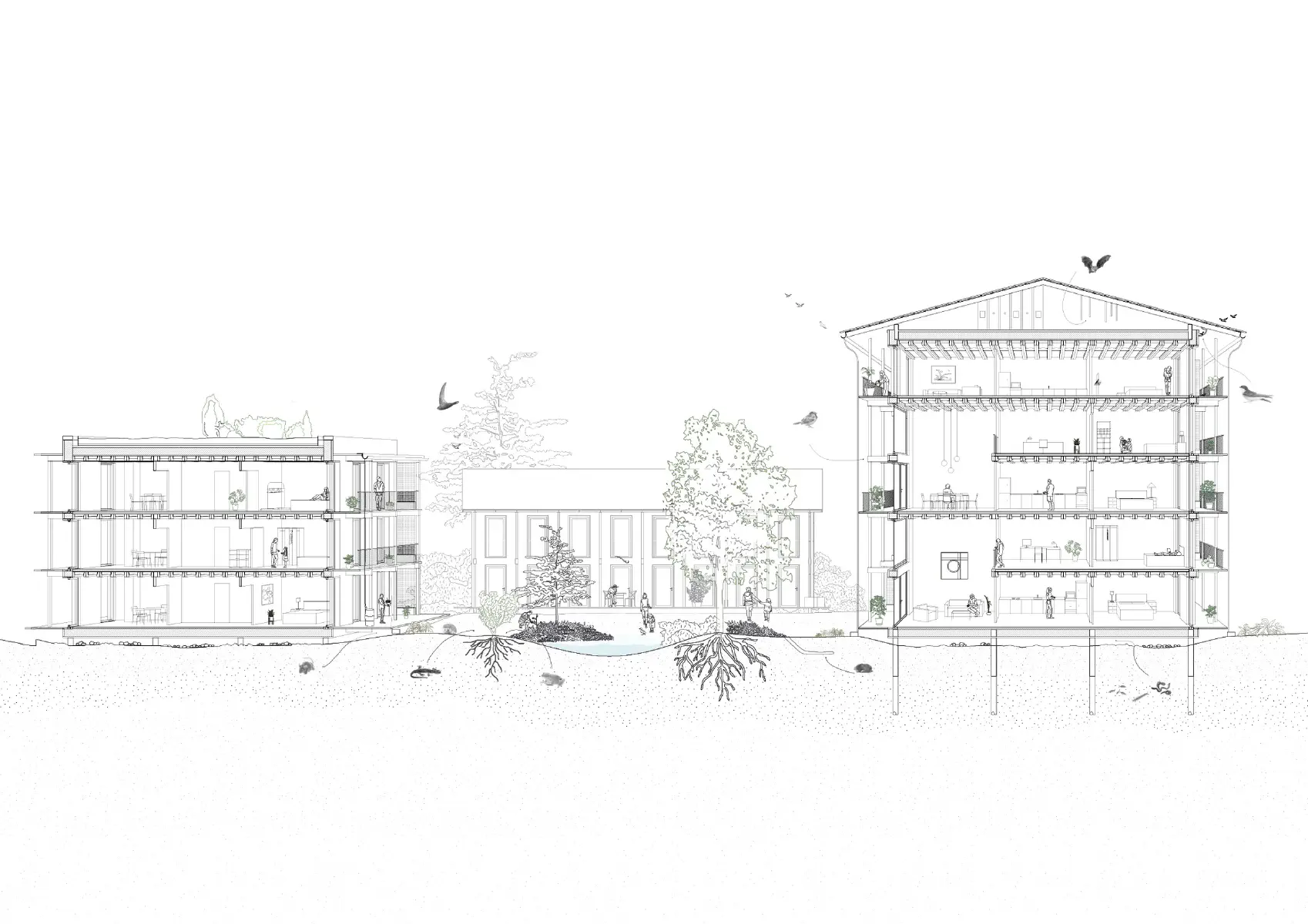 030 - Nieuwe Veenmarkt Zwolle NL, 2023 1st prize  3